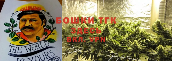 твердый Рославль