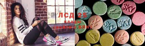 крисы Аркадак