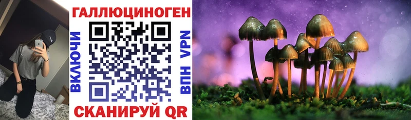 Галлюциногенные грибы Magic Shrooms кракен как войти Венёв